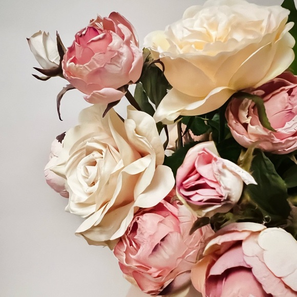 Meet your Posher, Philip! - Picture 1 of 1